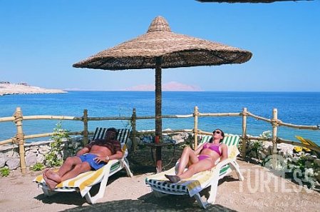 Island View Resort 5* - смотреть фото 26 Отель Island View Resort 5*, Шарм Эль Шейх - фото 26