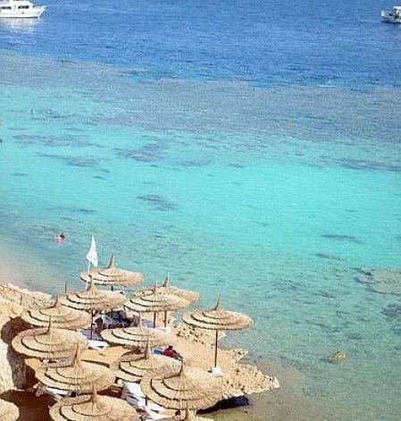 Отель Reef Oasis Beach Resort 5*, Шарм Эль Шейх - фото 21