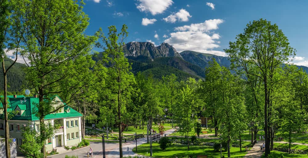 Litwor Hotel Zakopane * - смотреть фото 2 Отель Litwor Hotel Zakopane *, - фото 2