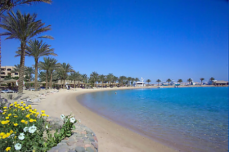 Continental Hotel Hurghada 5* - смотреть фото 12 Отель Continental Hotel Hurghada 5*, Хургада - фото 12