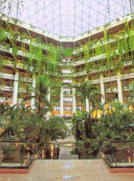 Отель Paradisus Cancun (Ex. Gran Melia Cancun) 5*, Канкун - фото 3