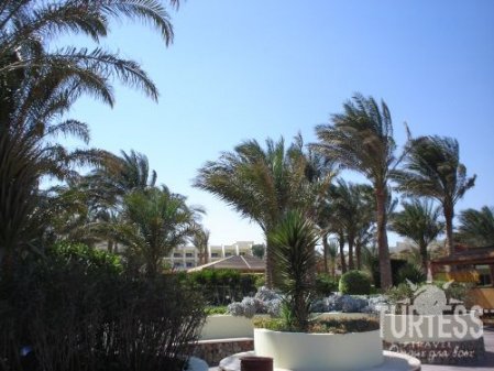 Отель Palm Beach Resort 4*, Хургада - фото 28