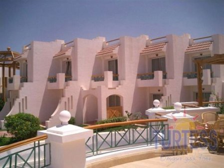 Cyrene Island Hotel 4* - смотреть фото 22 Отель Cyrene Island Hotel 4*, Шарм Эль Шейх - фото 22