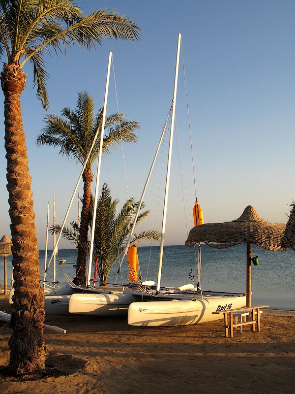 Sentido Palm Royale Soma Bay 5* - смотреть фото 15 Отель Sentido Palm Royale Soma Bay 5*, Сома Бей - фото 15