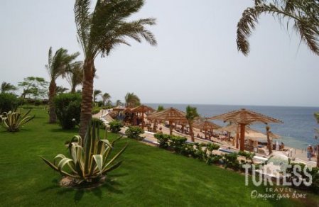 Отель Grand Oasis Resort  4*, Шарм Эль Шейх - фото 8