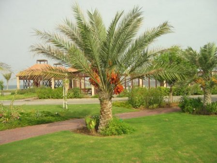 Отель Umm Al Quwain Beach Hotel 3*, Умм Аль Кувейн - фото 10