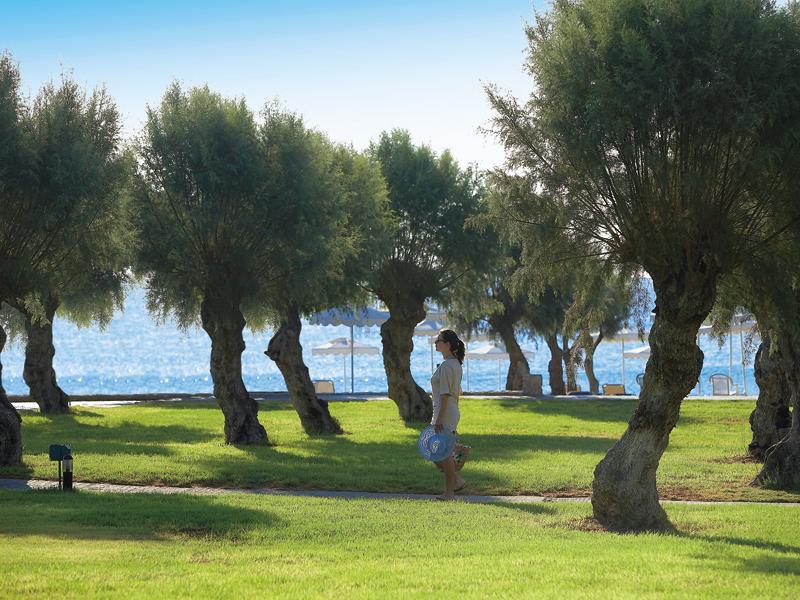 Grecotel Rhodos Royal 4* - смотреть фото 16 Отель Grecotel Rhodos Royal 4*, о. Родос - фото 16