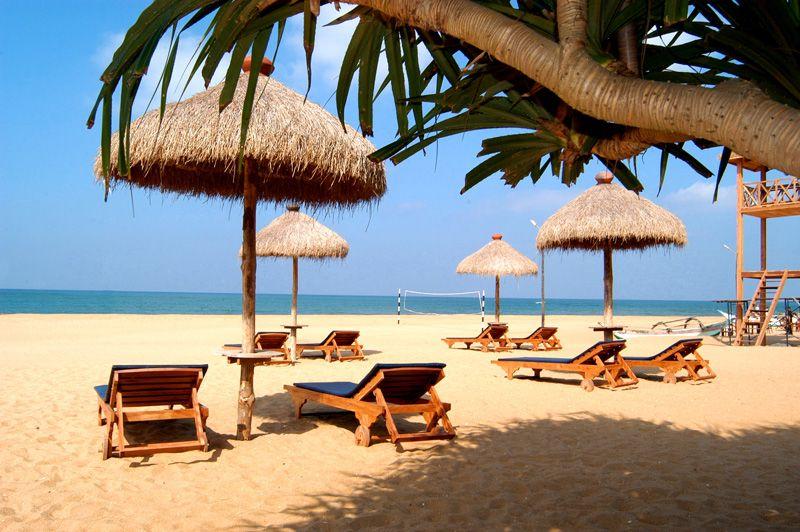 Mount Lavinia 4* - смотреть фото 8 Отель Mount Lavinia 4*, Маунт Лавиния - фото 8