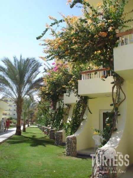 Отель Palm Beach Resort 4*, Хургада - фото 35
