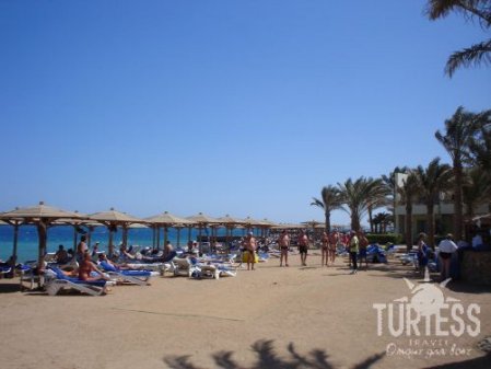 Отель Palm Beach Resort 4*, Хургада - фото 33