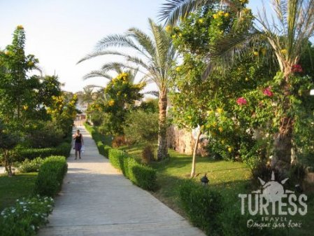 Jaz Lamaya Resort 5* - смотреть фото 6 Отель Jaz Lamaya Resort 5*, Марса Алам - фото 6