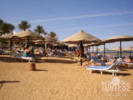 Отель Nubian Island 5*, Шарм Эль Шейх - фото 21