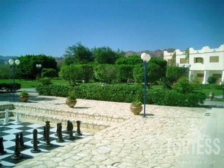 Tirana Dahab Resort 4* - смотреть фото 11 Отель Tirana Dahab Resort 4*, Дахаб - фото 11