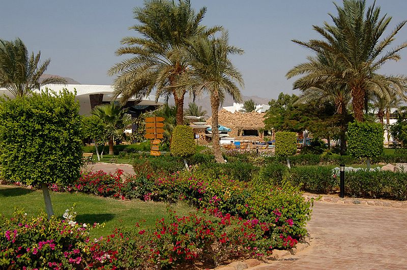 Coral Resort Nuweiba 4* - смотреть фото 4 Отель Coral Resort Nuweiba 4*, Нувейба - фото 4