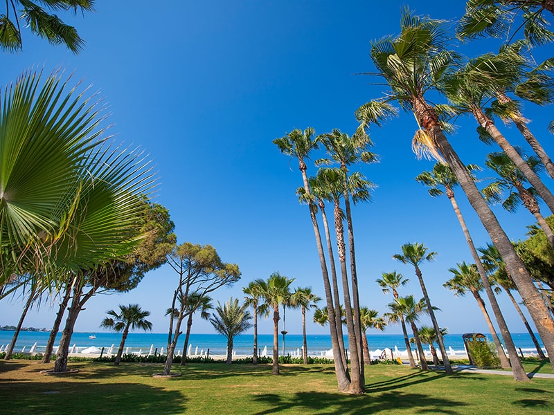 Отель Barut Hotels Cennet & Acanthus 4*, Сиде - фото 4