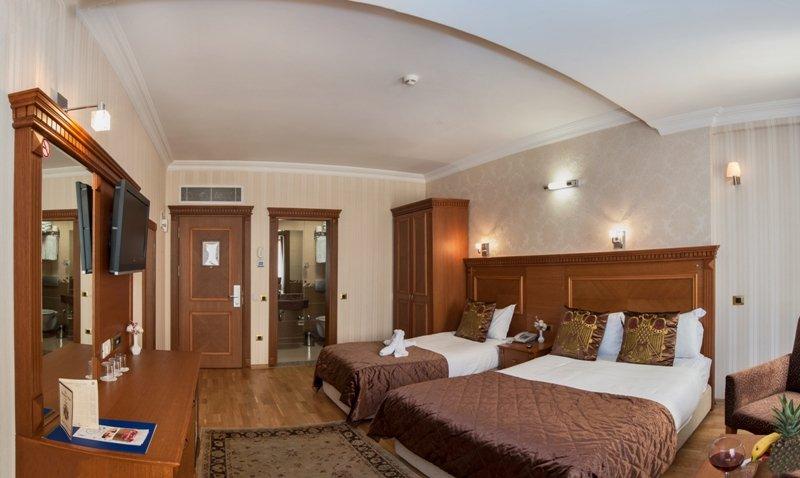 The Byzantium Hotel 3* - смотреть фото 14 Отель The Byzantium Hotel 3*, Стамбул - фото 14