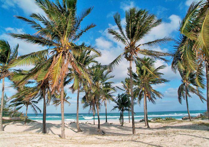 Отель Villa Cuba Gran Caribe 4*, Варадеро - фото 12