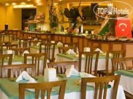 Отель Palm D'or Hotel 4*, Сиде - фото 4