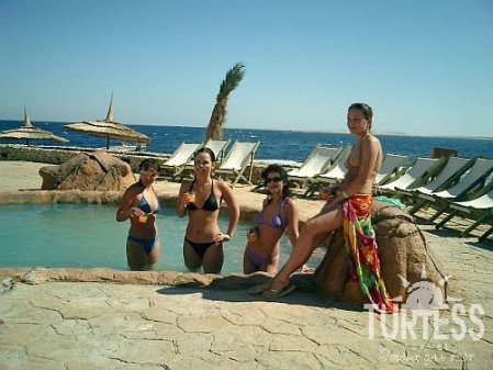 Hauza Beach Resort (закрыт) 4* - смотреть фото 54 Отель Hauza Beach Resort (закрыт) 4*, Шарм Эль Шейх - фото 54