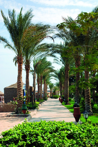 Jaz Makadi Saraya Resort 5* - смотреть фото 21 Отель Jaz Makadi Saraya Resort 5*, Макади Бей - фото 21