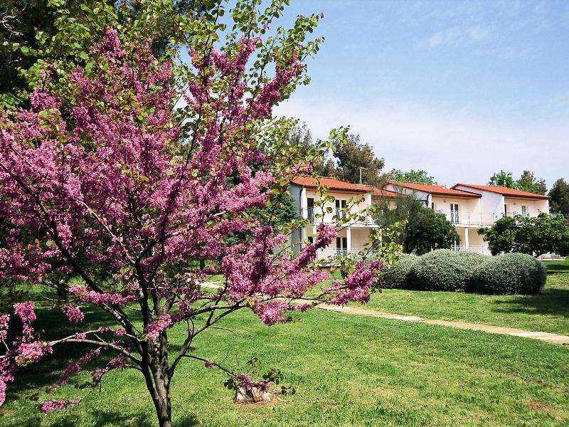 Отель Ai Pini Resort 2*, Медулин - фото 12