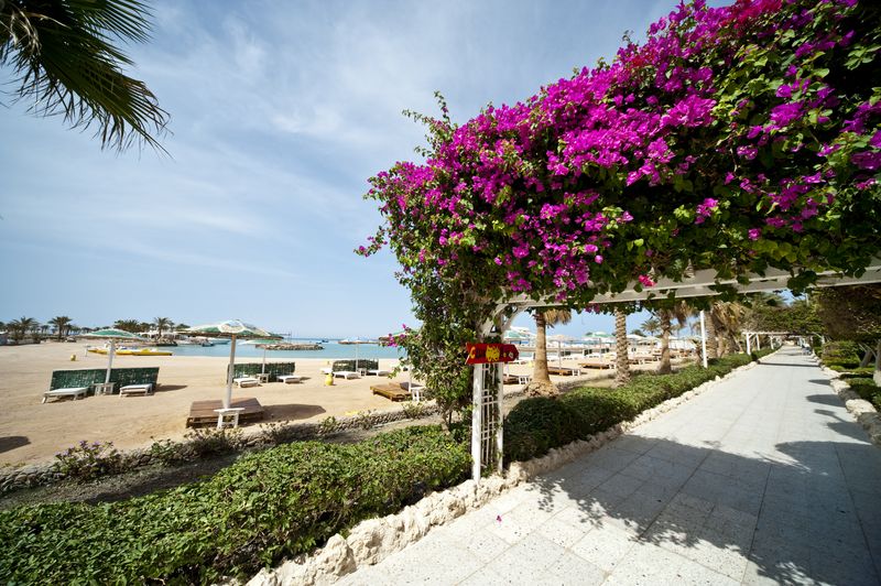 Festival Shedwan Golden Beach Resort (закрыт) 3* - смотреть фото 9 Отель Festival Shedwan Golden Beach Resort (закрыт) 3*, Хургада - фото 9