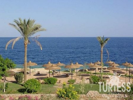 Отель Renaissance Sharm El Seikh Golden View Beach Resort 5*, Шарм Эль Шейх - фото 12