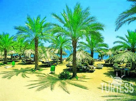 Dessole Seti Sharm Resort (закрыт) 4* - смотреть фото 13 Отель Dessole Seti Sharm Resort (закрыт) 4*, Шарм Эль Шейх - фото 13
