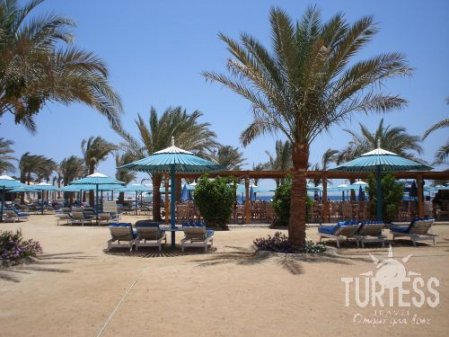 Le Pacha Resort 4* - смотреть фото 8 Отель Le Pacha Resort 4*, Хургада - фото 8