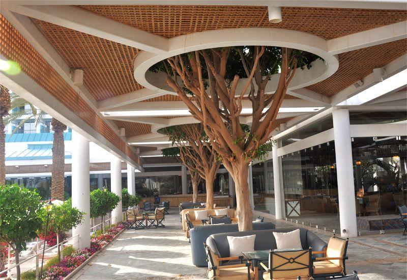 Отель Isrotel Yam Suf 4*, Эйлат - фото 5