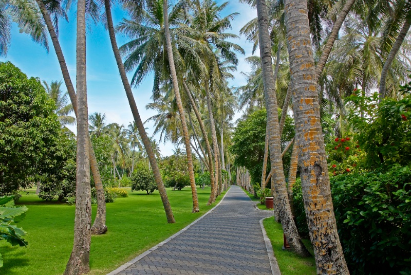 Sun Island Resort & Spa 4* - смотреть фото 5 Отель Sun Island Resort & Spa 4*, Мале - фото 5