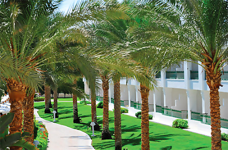 Baron Palms Resort 5* - смотреть фото 6 Отель Baron Palms Resort 5*, Шарм Эль Шейх - фото 6