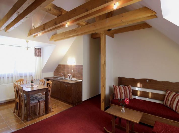 Отель Ski & Wellness Residence Druzba 4*, Ясна - фото 9