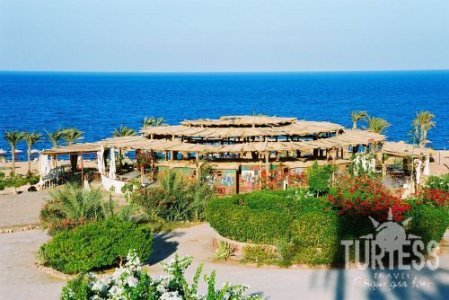 Royal Paradise Resort 4* - смотреть фото 19 Отель Royal Paradise Resort 4*, Шарм Эль Шейх - фото 19