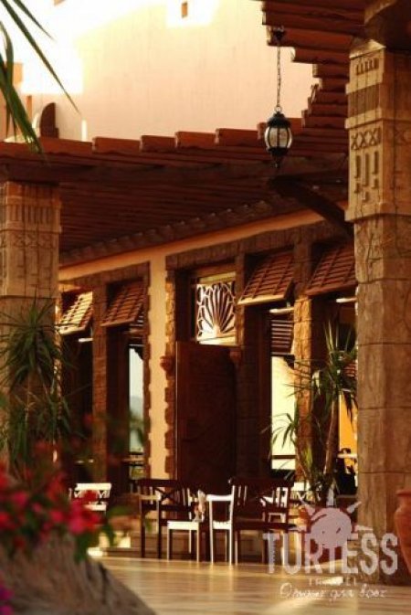 Charmillion Sea Life Resort 5* - смотреть фото 42 Отель Charmillion Sea Life Resort 5*, Шарм Эль Шейх - фото 42