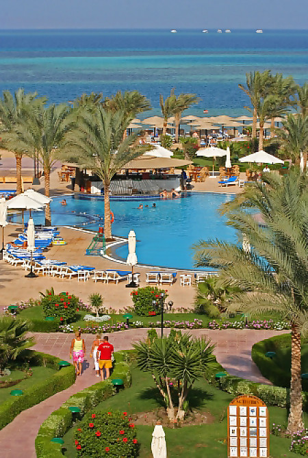 Sea Star Beau Rivage 5* - смотреть фото 10 Отель Sea Star Beau Rivage 5*, Хургада - фото 10