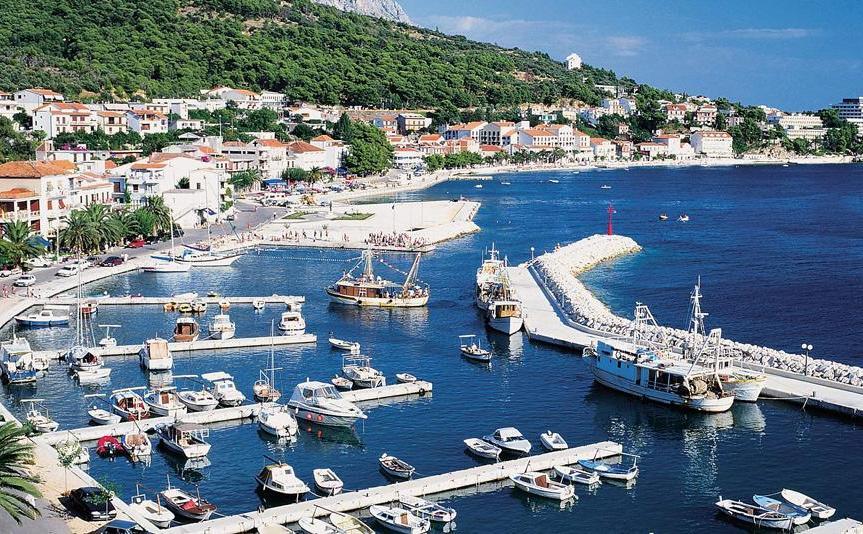 Mediteran Podgora 3* - смотреть фото 3 Отель Mediteran Podgora 3*, Подгора - фото 3