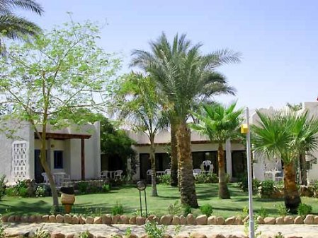 Fayrouz Resort 4* - смотреть фото 2 Отель Fayrouz Resort 4*, Шарм Эль Шейх - фото 2