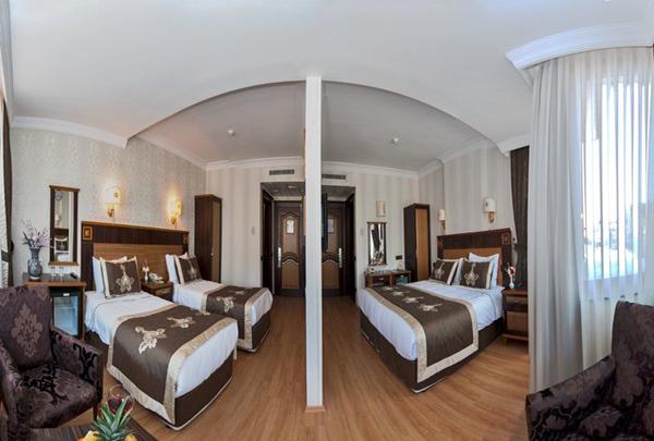 The Byzantium Hotel 3* - смотреть фото 13 Отель The Byzantium Hotel 3*, Стамбул - фото 13
