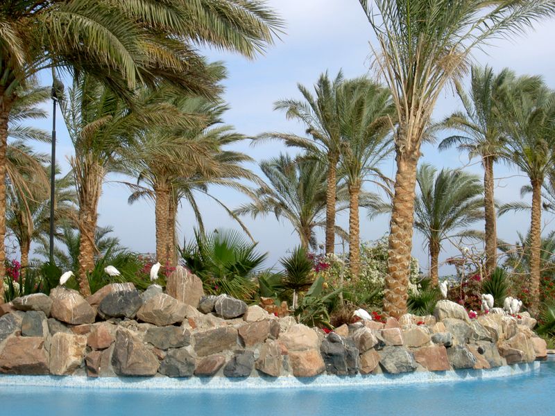 Brayka Bay Resort 5* - смотреть фото 6 Отель Brayka Bay Resort 5*, Марса Алам - фото 6