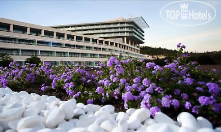Отель Radisson Blu Dubrovnik 5*,  - фото 4