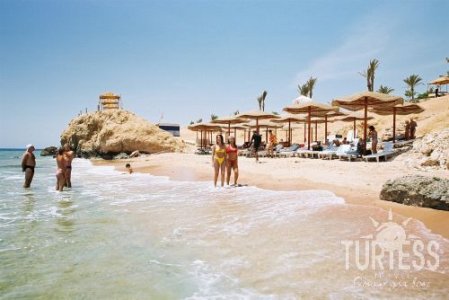Royal Paradise Resort 4* - смотреть фото 10 Отель Royal Paradise Resort 4*, Шарм Эль Шейх - фото 10