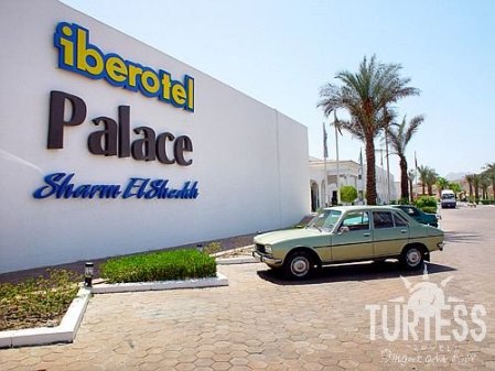 Отель Iberotel Palace 5*, Шарм Эль Шейх - фото 23