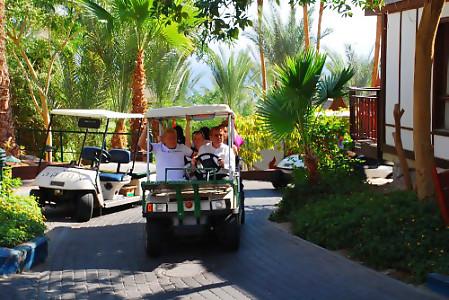 The OrChid Hotel & Resort Eilat 4* - смотреть фото 7 Отель The OrChid Hotel & Resort Eilat 4*, Эйлат - фото 7