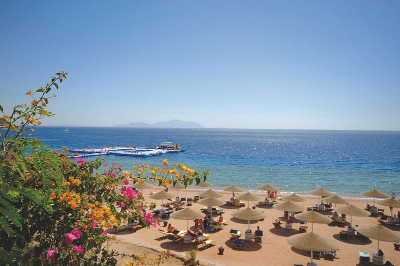 Domina Coral Bay Oasis Hotel & Resort 5* - смотреть фото 6 Отель Domina Coral Bay Oasis Hotel & Resort 5*, Шарм Эль Шейх - фото 6