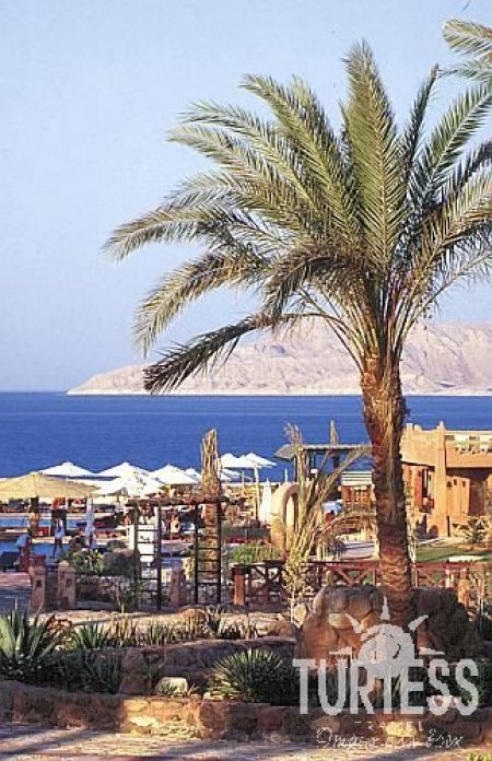 Hauza Beach Resort (закрыт) 4* - смотреть фото 17 Отель Hauza Beach Resort (закрыт) 4*, Шарм Эль Шейх - фото 17
