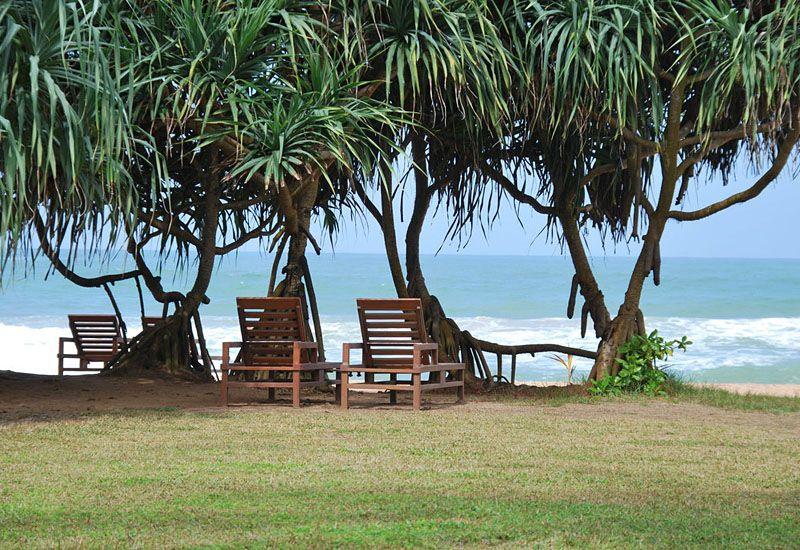 Temple Tree Resort & Spa 5* - смотреть фото 4 Отель Temple Tree Resort & Spa 5*, - фото 4