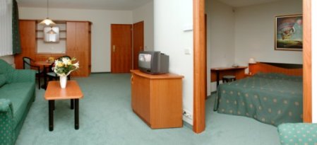 Отель Europa Fit Hotel 4*, Хевиз - фото 8