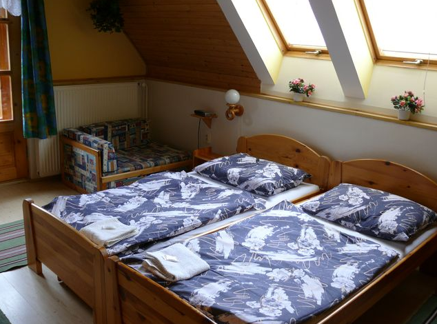 Отель Family Hotel Aurel 3*, Липтовский Ян - фото 6