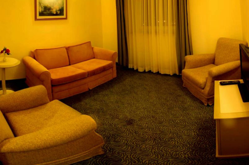 Palan Hotel Erzurum 4* - смотреть фото 7 Отель Palan Hotel Erzurum 4*, - фото 7